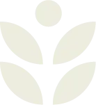 IES Native iso mobile